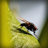 /album/kayseri-cafe-38/photolia-a04-jpg/